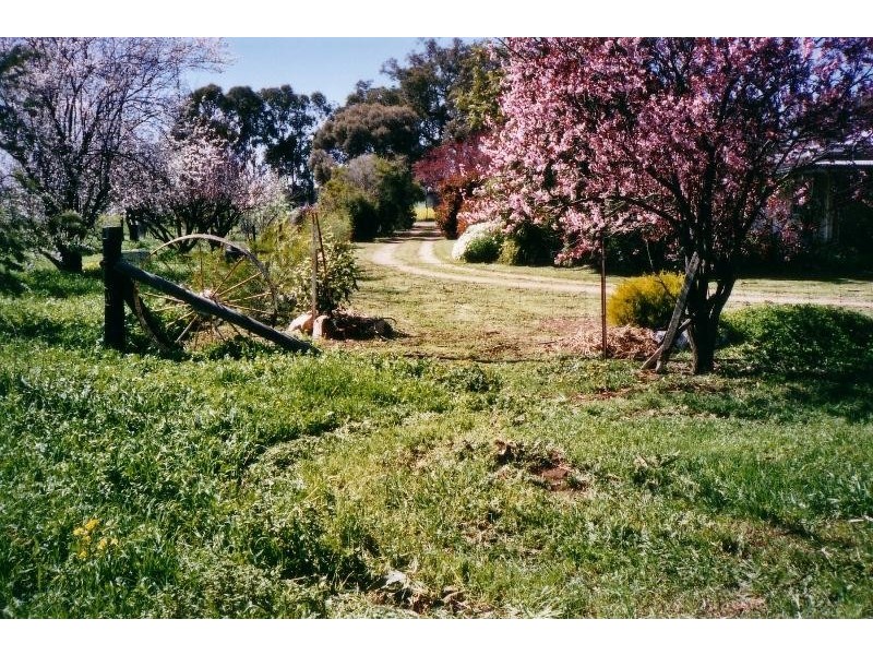 1371 Bungeet Road, Bungeet VIC 3726