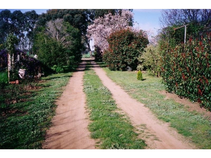 1371 Bungeet Road, Bungeet VIC 3726