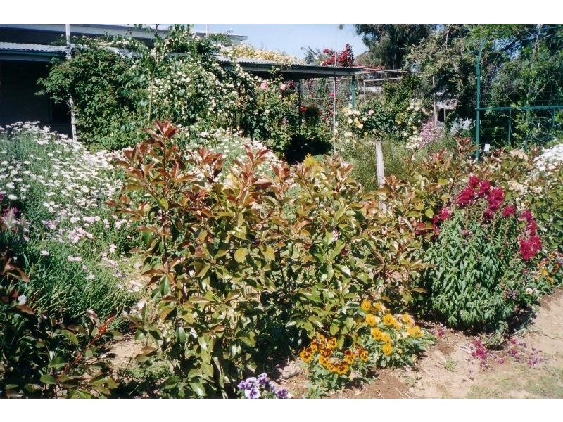 1371 Bungeet Road, Bungeet VIC 3726