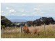 75 McLeans Road, Greta West VIC 3675