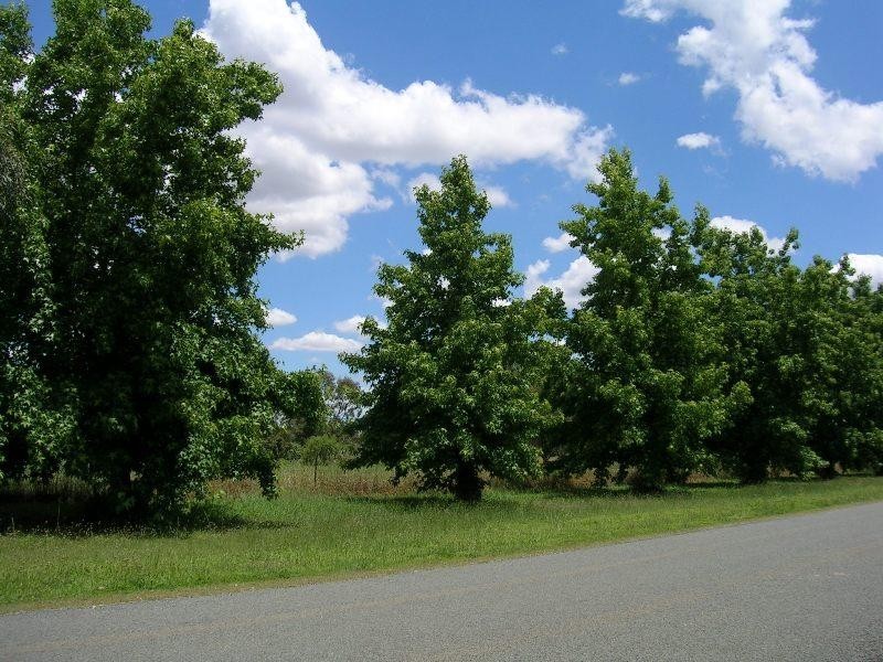 Lot 1/25 Johnson St, Oxley VIC 3678