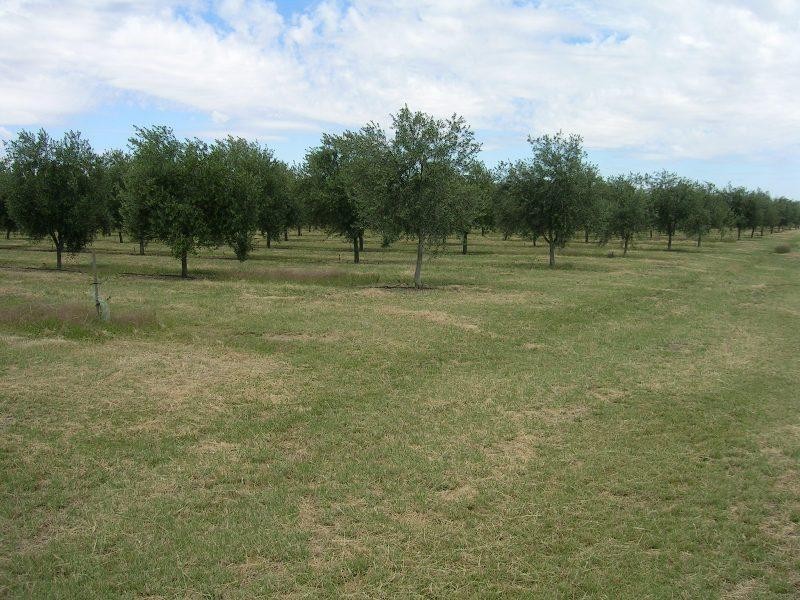 3550 Wangaratta-Yarrawonga Road, Bundalong VIC 3730