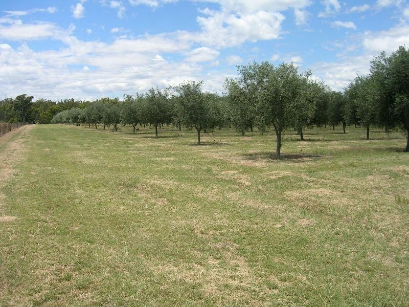 3550 Wangaratta-Yarrawonga Road, Bundalong VIC 3730