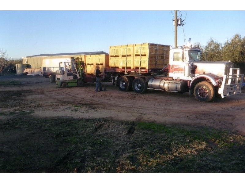 3550 Wangaratta-Yarrawonga Road, Bundalong VIC 3730