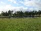 7823 MIDLAND HIGHWAY, Magpie VIC 3352