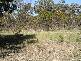Avoca VIC 3467