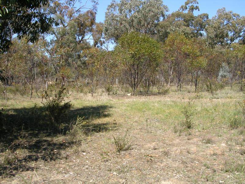 Avoca VIC 3467