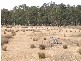 LEXTON AMPHITHEATRE RD, Amphitheatre VIC 3468