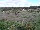 Linton VIC 3360