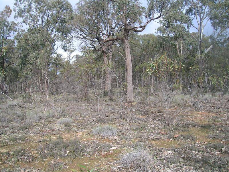 LOT 7 SUNRAYSIA HIGHWAY, Redbank VIC 3478