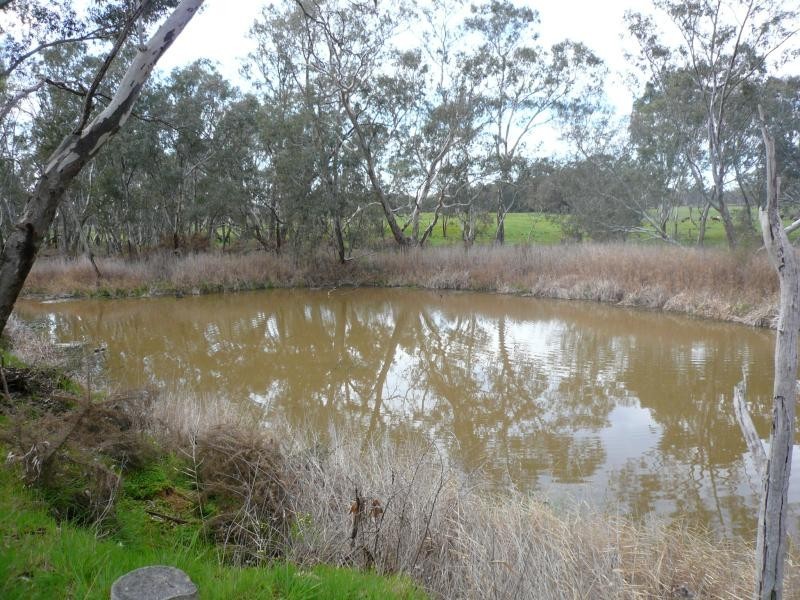 1015 Pyrenees Highway, Amphitheatre VIC 3468