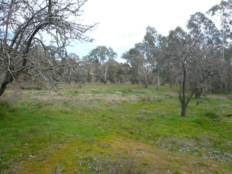 1015 Pyrenees Highway, Amphitheatre VIC 3468