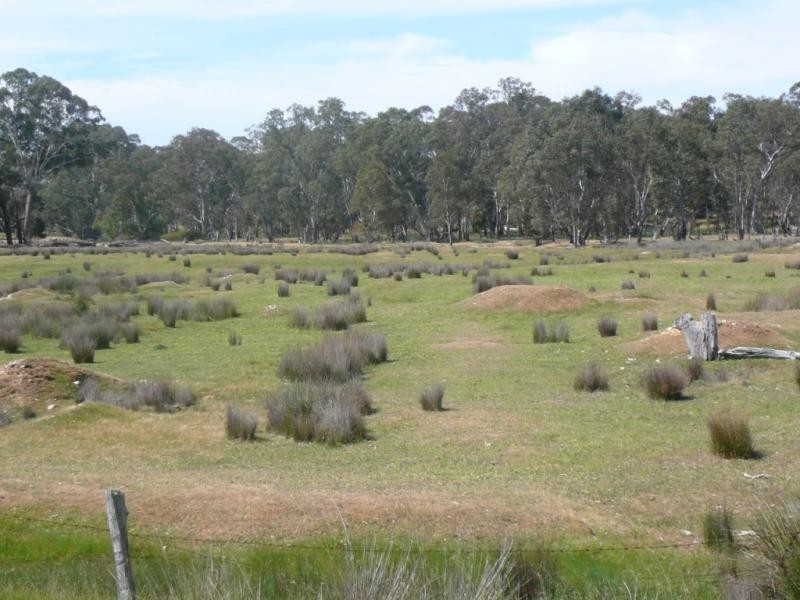 Lot 12 Beaufort – Amphitheatre Road, Amphitheatre VIC 3468