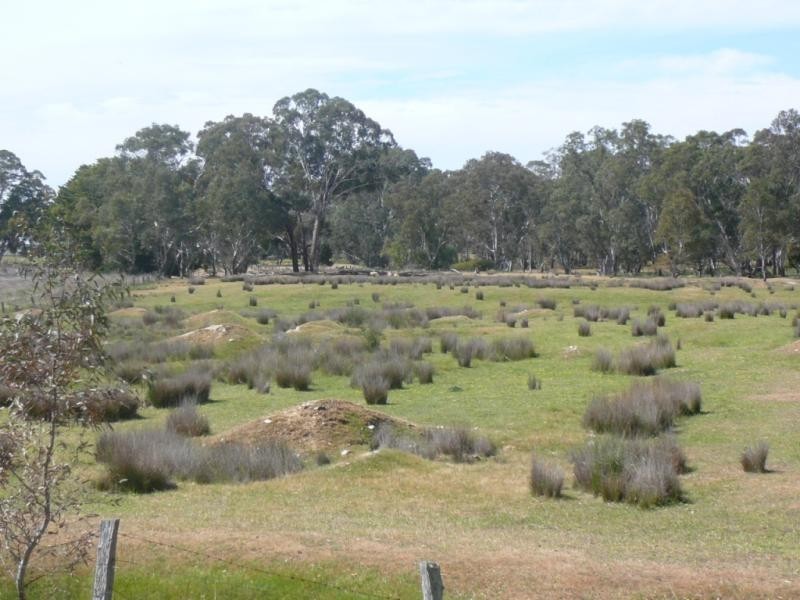 Lot 12 Beaufort – Amphitheatre Road, Amphitheatre VIC 3468