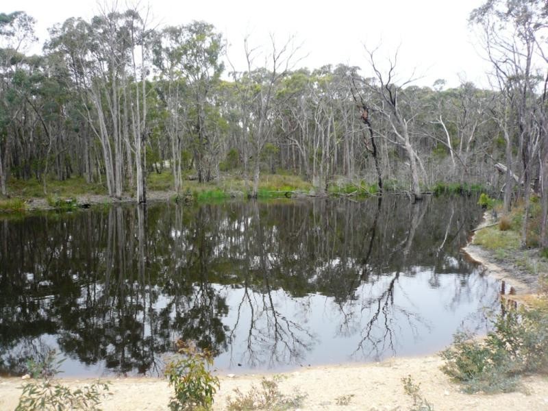 98 CORIO DAM ROAD, Smythesdale VIC 3351