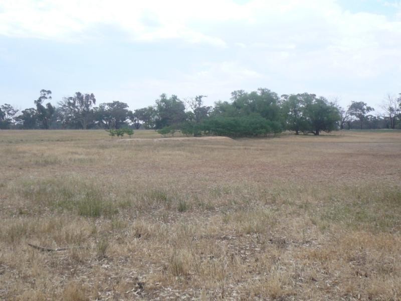 CA 31 Harts Lane, Avoca VIC 3467