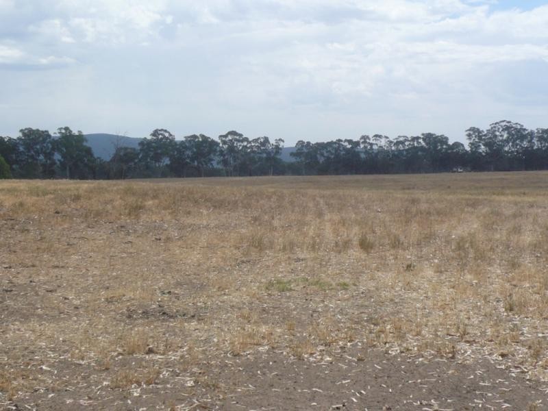 CA 31 Harts Lane, Avoca VIC 3467