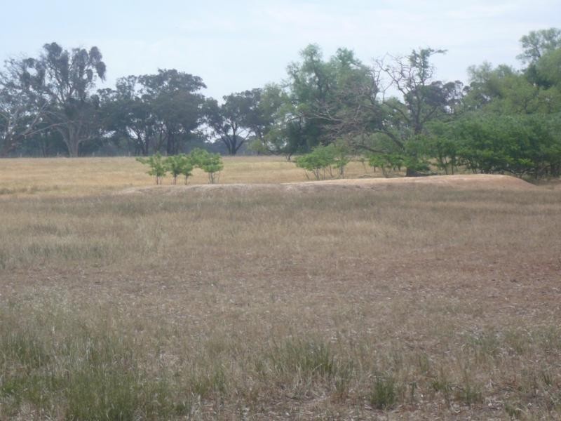 CA 31 Harts Lane, Avoca VIC 3467