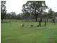 79 Navarre Street, Redbank VIC 3478