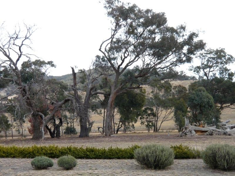 59 Bundaleer Road, Moonambel VIC 3478