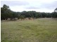 239 Flagstaff Ridge Road, Linton VIC 3360