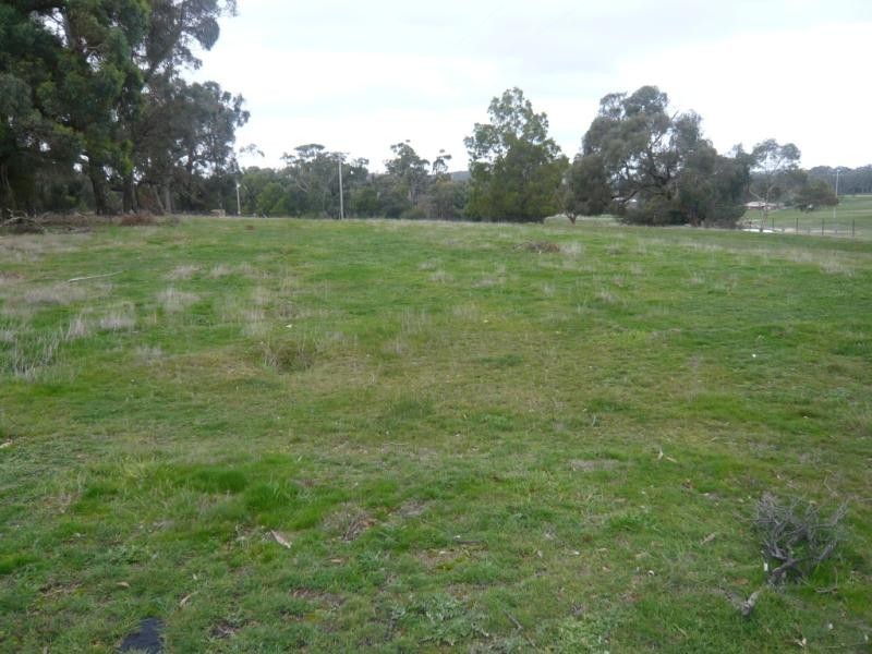 CA7 M Old Shirley Road, Beaufort VIC 3373