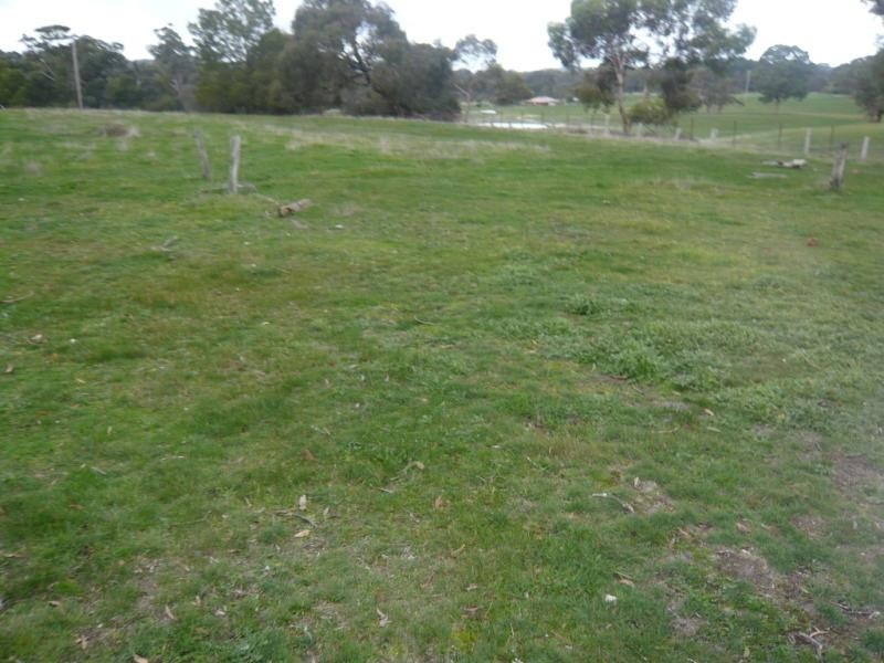 CA7 M Old Shirley Road, Beaufort VIC 3373