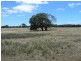 Lot 64/ Frenchmans – St Arnaud Rd, Barkly VIC 3381