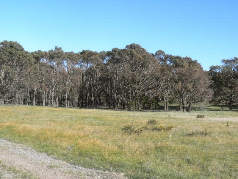 206 Boundary Rd, Sulky VIC 3352