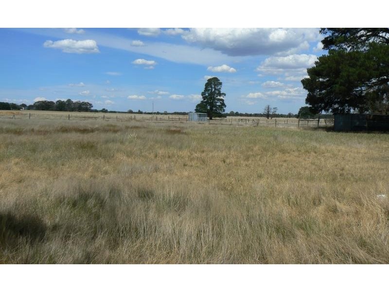 239 Racecourse Road, Cape Clear VIC 3351