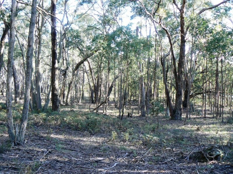 Lot 25/ Bronzewing Drive, Lal Lal VIC 3352