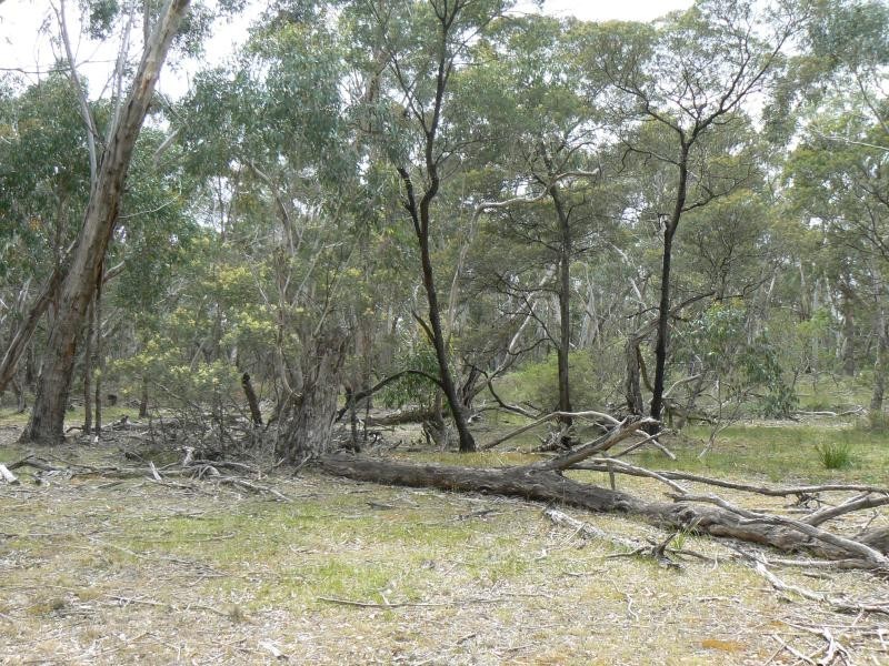 Lot 40/ Bliss Road, Dereel VIC 3352