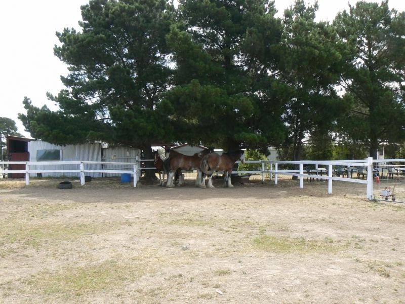 140 Spittle Road, Creswick VIC 3363