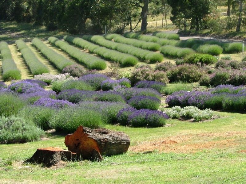 58 Sharrocks Road, Mount Egerton VIC 3352