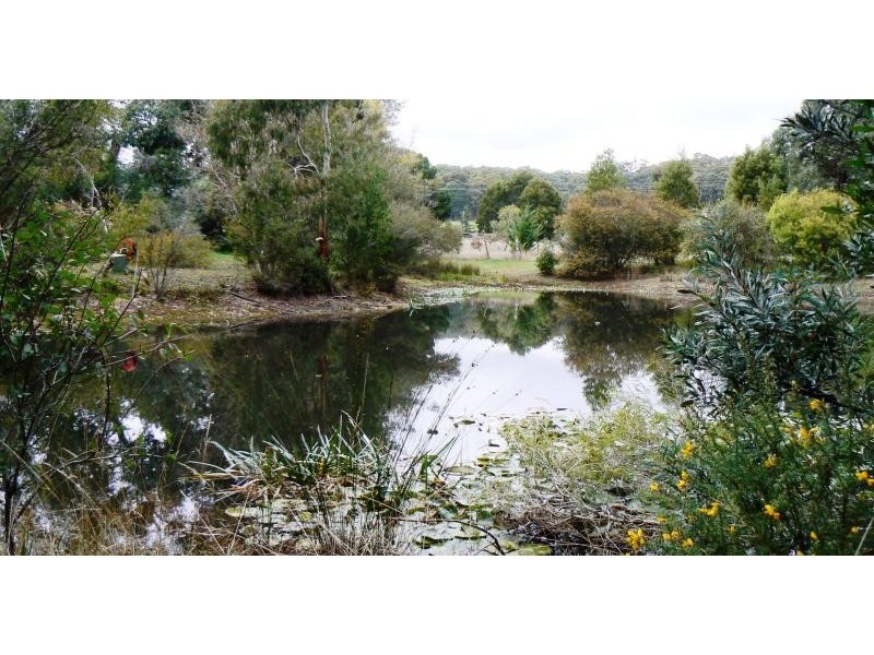 9 Bassalt Road (Eganstown), Daylesford VIC 3460