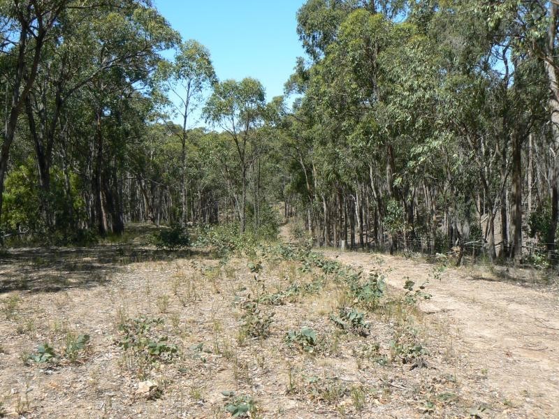 Lot 7/ Turnbull Court, Haddon VIC 3351