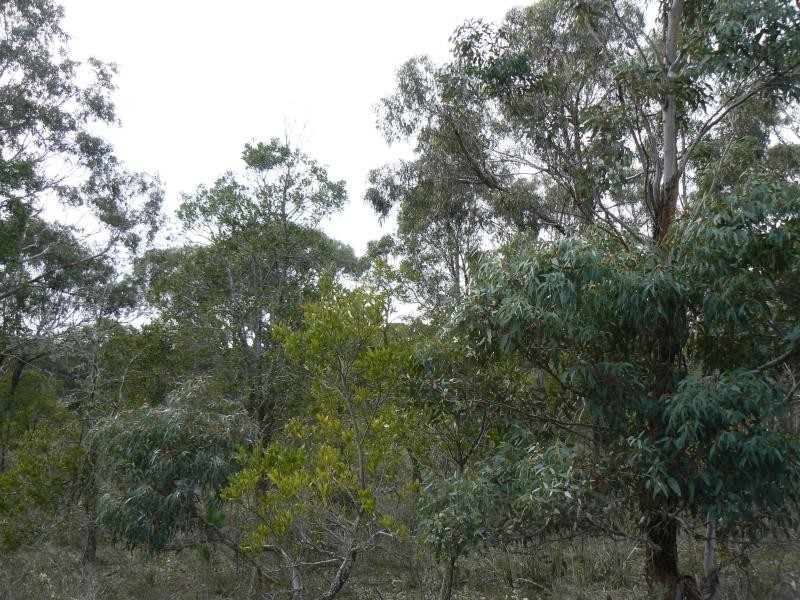 Lot 20/ Vermont Road, Smythesdale VIC 3351