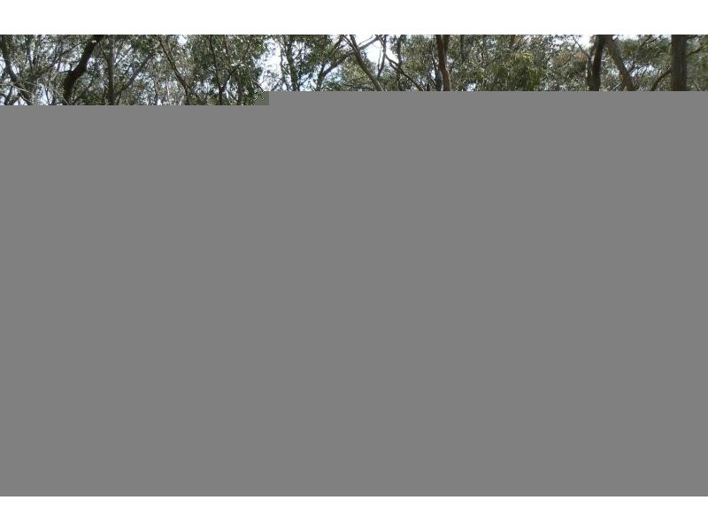 116 Grampians View Road, Beaufort VIC 3373