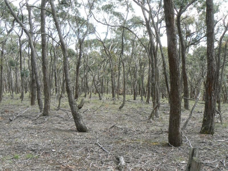 116 Grampians View Road, Beaufort VIC 3373