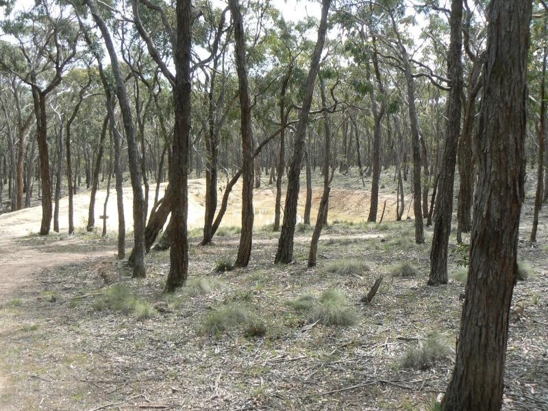 116 Grampians View Road, Beaufort VIC 3373