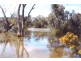 251 Dawsons Road, Avoca VIC 3467