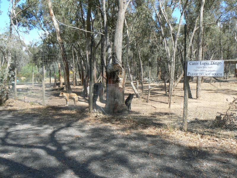 251 Dawsons Road, Avoca VIC 3467