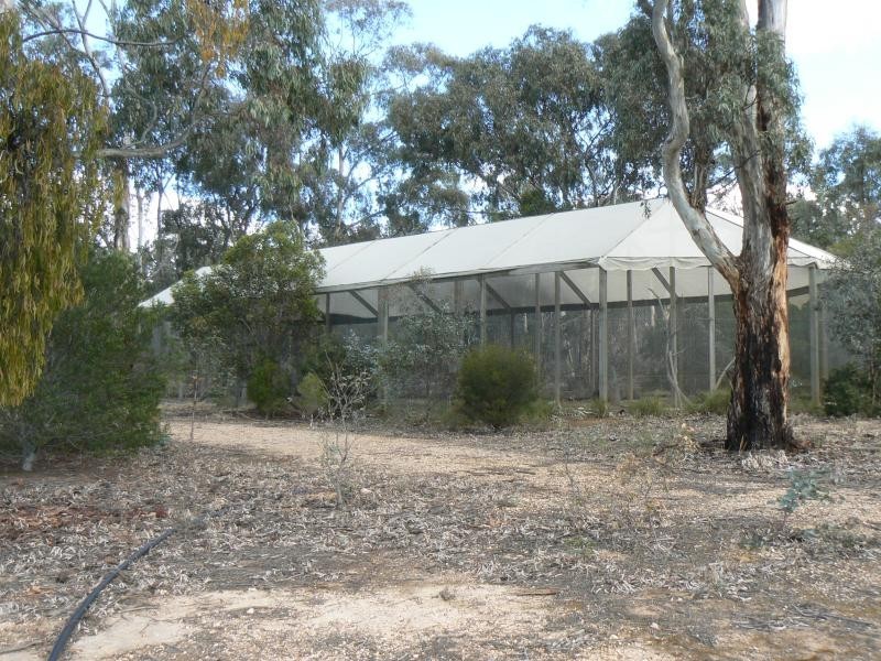 251 Dawsons Road, Avoca VIC 3467