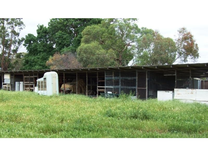 41 Avoca – Greenhill Creek Rd, Avoca VIC 3467