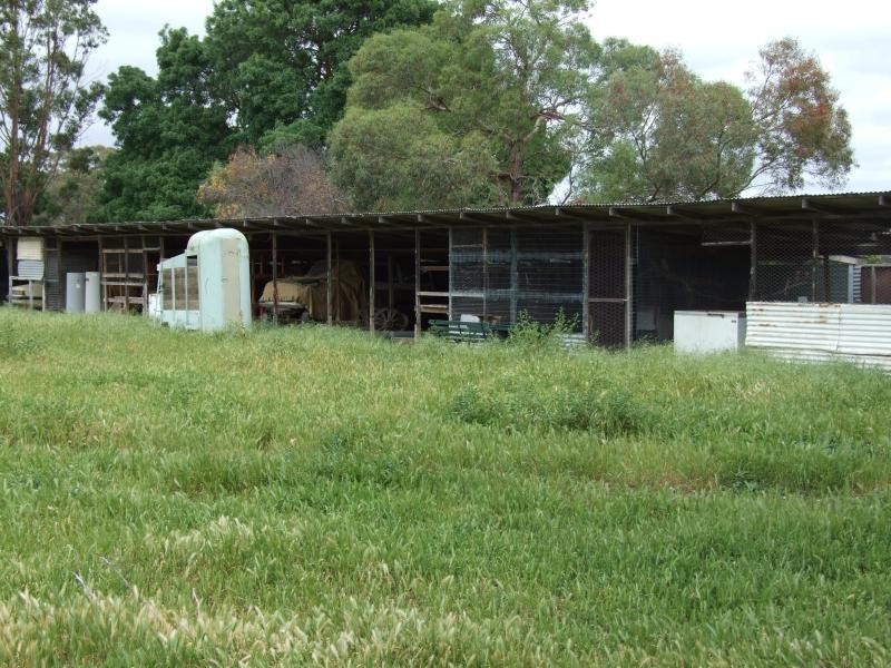 41 Avoca – Greenhill Creek Rd, Avoca VIC 3467