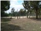 237 High Street, Avoca VIC 3467