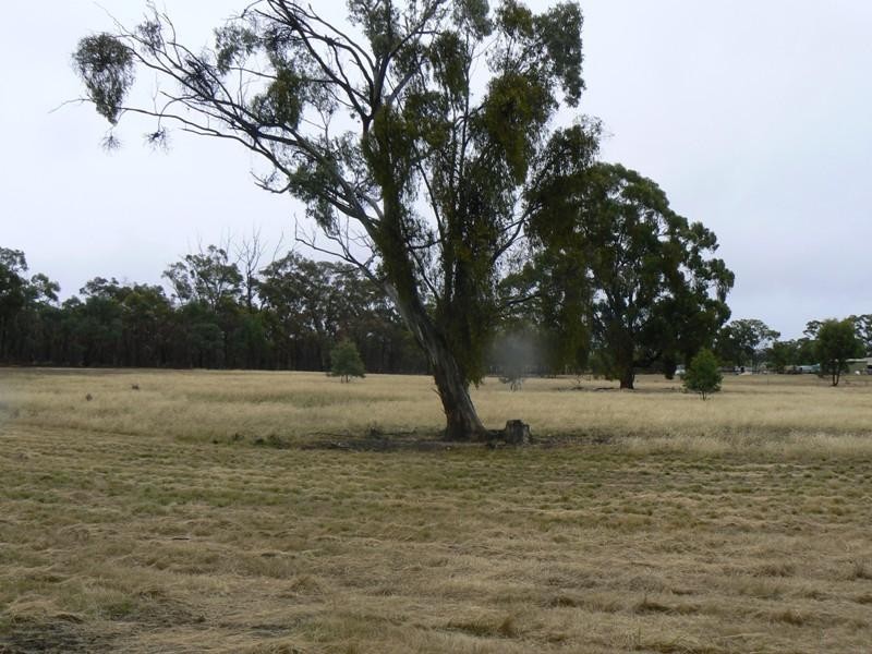 7011 Pyrenees Highway, Avoca VIC 3467