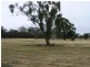 7011 Pyrenees Highway, Avoca VIC 3467