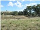 Lot 1/ Pyrenees Highway, Amphitheatre VIC 3468