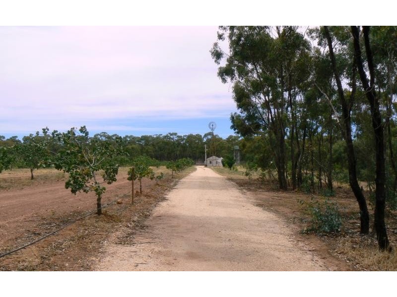 3374 Dunolly – Wedderburn Road, Moliagul VIC 3472